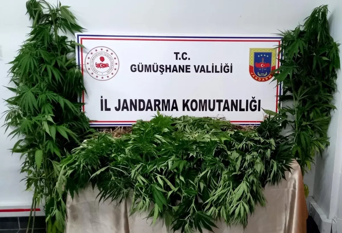 Gümüşhane İl Jandarma Komutanlığı FM200 Söndürme Sistemi Montajı